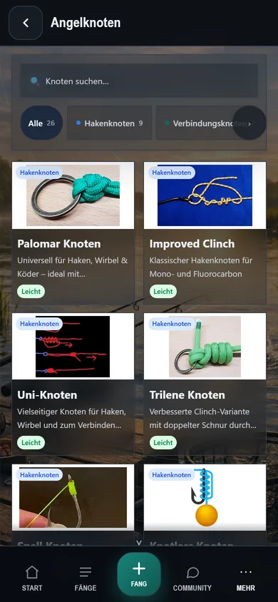 Echter Screenshot der Ansicht „Angelknoten" in Petri-KI