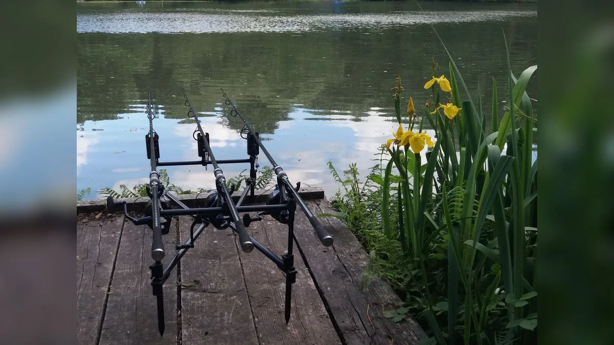 Rod Pod mit drei Ruten und Bissanzeigern am Ufer