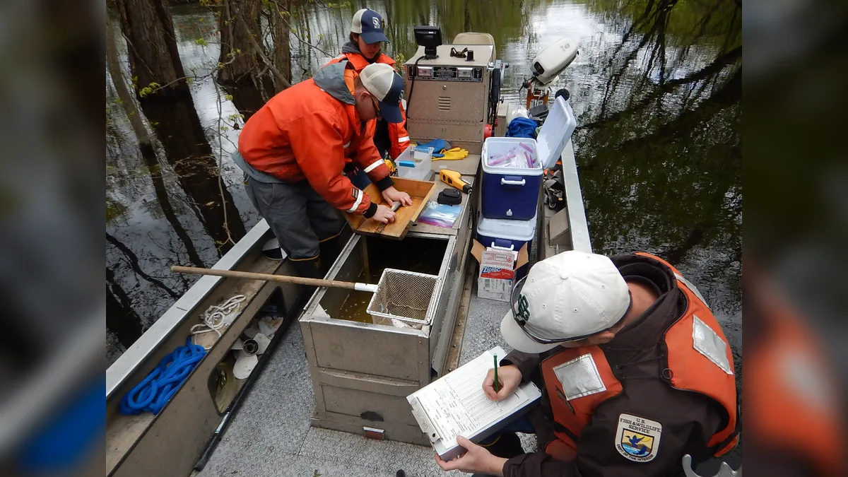 Team bei einer Elektrobefischung zur Fischbestandsaufnahme vom Boot aus