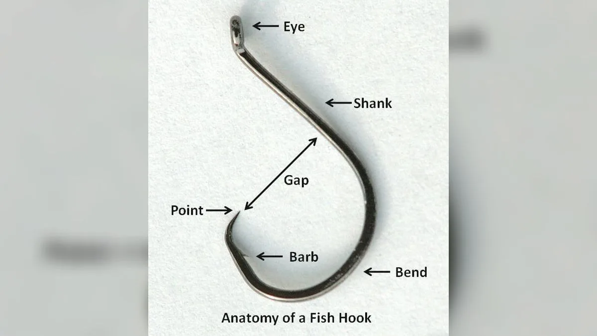 Beschrifteter Angelhaken: Öhr (eye), Schenkel (shank), Bogen (bend), Spitze (point), Widerhaken (barb) und Hakenöffnung (gap)