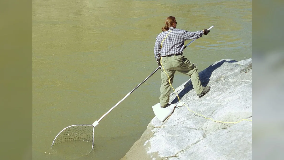 Angler mit langstieligem Kescher an einem Flussufer