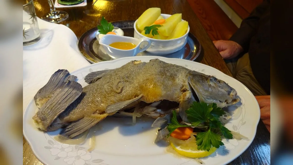 Blau gegarte ganze Schleie, angerichtet mit Salzkartoffeln, zerlassener Butter und Meerrettich