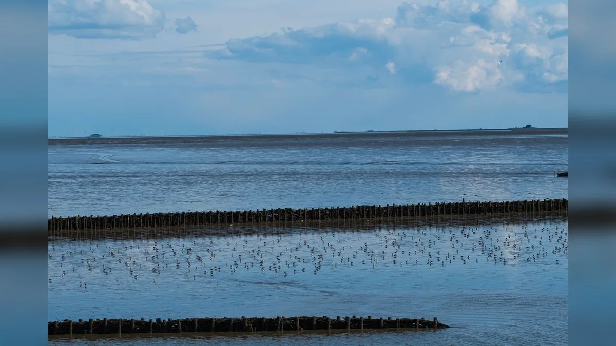 Trockengefallenes Wattenmeer bei ablaufendem Wasser mit sichtbaren Prielen